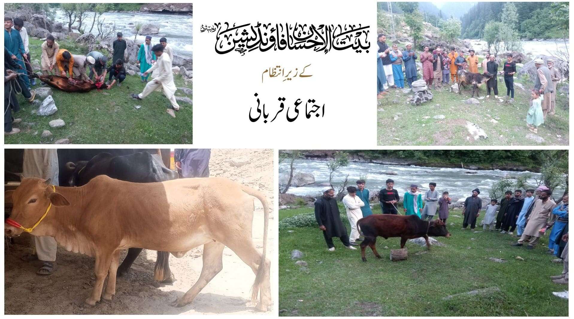 ویب سائٹ اجتماعی قربانی